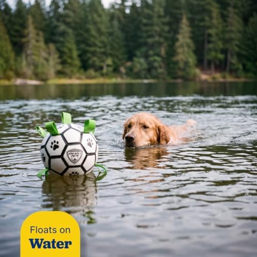 Interactive Dog Soccer Ball for Dogs, 7” with Straps & Grab Tabs, Floats on Water, Fetch & Training Toy for Small/Medium Dogs, Herding Breeds, Waterproof Non-Toxic – ProBall Pets – White Green