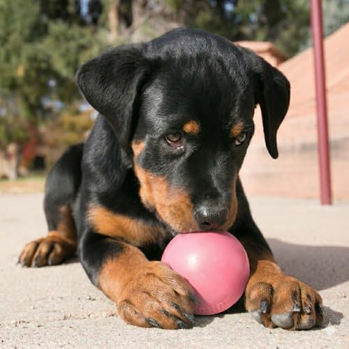 KONG Puppy Ball with Hole, Teething Toy, Medium/Large Puppies, Random Color