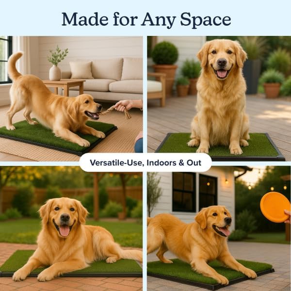 PETMAKER Artificial Grass Puppy Pee Pad with Tray for Dogs, 20” x 30” | Washable 3-Layer Reusable Indoor Dog Potty Grass Training Pad, Easy Clean Pet Housebreaking Potty Solution