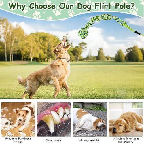 Flirt Pole for Dogs Heavy Duty, Interactive Chase & Tug of War Wand