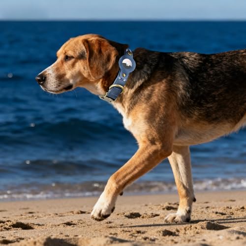 Airtag Dog Collar, Reflective Collar w Airtag Holder for Medium Dogs(Blue)