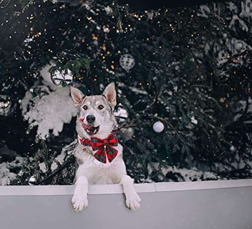 DOGWONG Christmas Dog Collar with Sailor Bow Tie, Red Plaid, Cotton, Medium, S