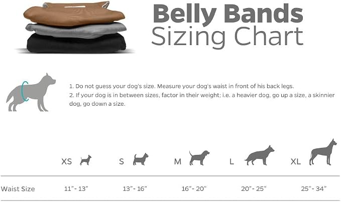 Pet Parents® Washable Belly Bands for Dogs (3pack) + Extendrs® Durable Dog Diapers - Premium Male Dog Diapers & Wraps (X-Small, Natural)