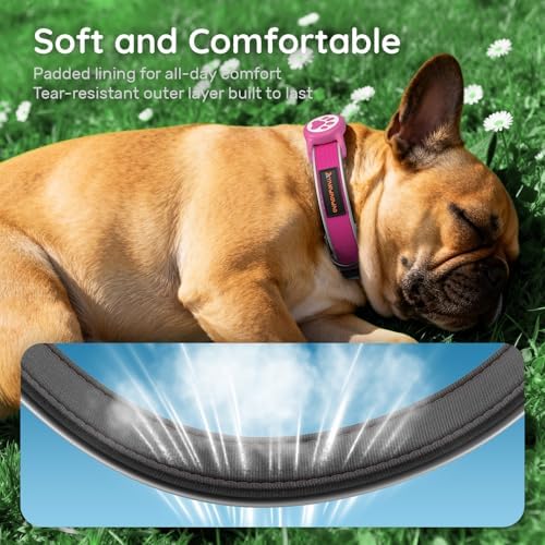 Heavy Duty Dog Collar with Silicone AirTag Holder, Waterproof & Reflective Padded Pet Collar for Night Walking, Hotpink Plaid Oxford Cloth, Adjustable Buckle (Pink L)