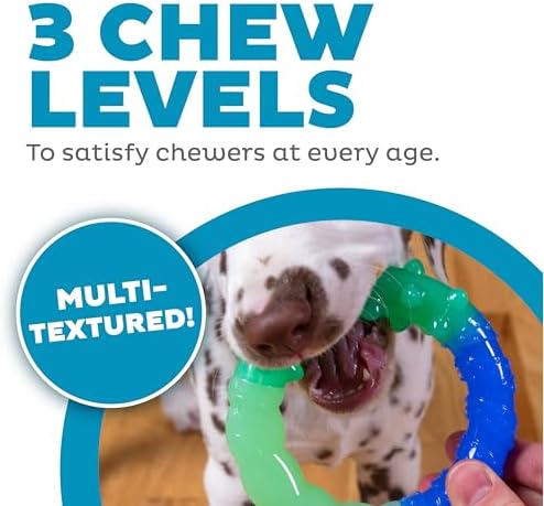 Grow-with-Me Ring Dental Dog Chew Toy, Bounces & Floats, 4.7"