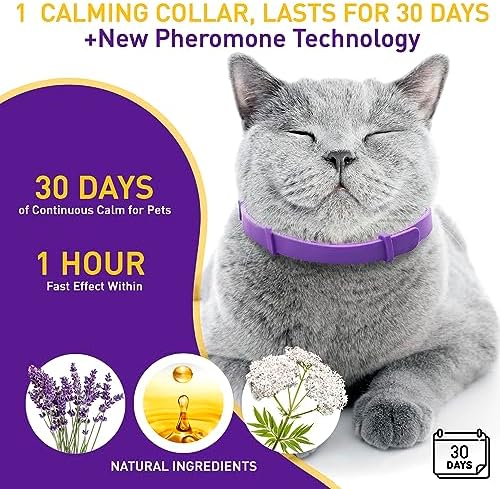 4 Pack Calming Collar for Cats – Pheromone Cat Calming Collar Cat Anxiety Relief and Stress – Adjustable Water Resistant Breakaway Calming Collars Natural Ingredients Pheromones Rapid Effect