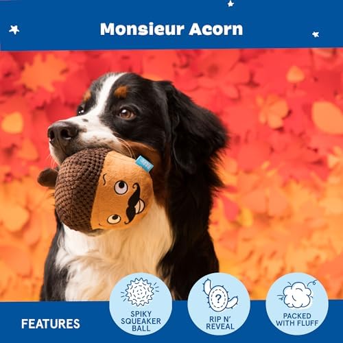 BarkBox Monsieur Acorn 2-in-1 Interactive Plush Dog Toy