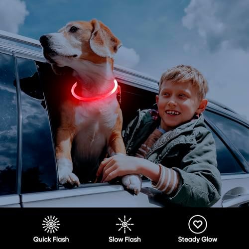 Flashseen LED Dog Collar, USB Rechargeable Glow Lighted up Collar, Red