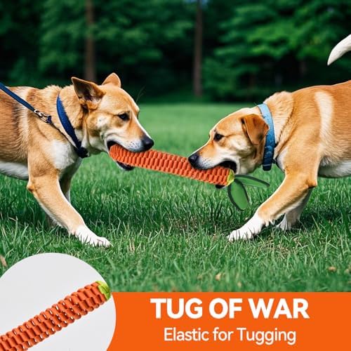 AUSCAT Carrot Dog Toy, Rope Toys for Dogs, Durable Tug of War Toy with Squeaker, Braided Rope Dog Toy, Braided Teething Toys for Small and Medium Dogs, not for Aggressive Chewers
