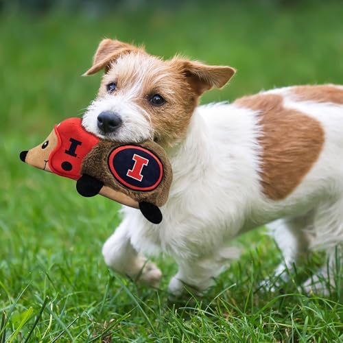 NCAA Illinois Fighting Illini Plush Hedgehog Toy for Dogs & Cats, Cool Soft Pet Toy for Fun and Interactive Play, Dog Chew Toy with Squeaker, Licensed Hot Pet Toy