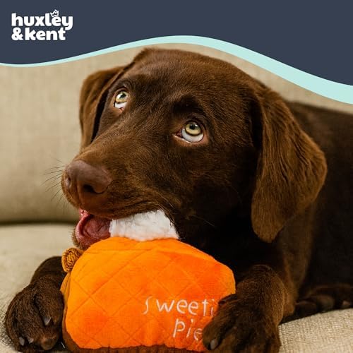 Huxley & Kent Funny Dog Toy w/Squeaker – Fall Power Plush Squeaky Dog Toys for Small, Medium & Large Dogs – Soft Stuffed Animal for Indoor Play & Fetch - Punkin Pie, Small
