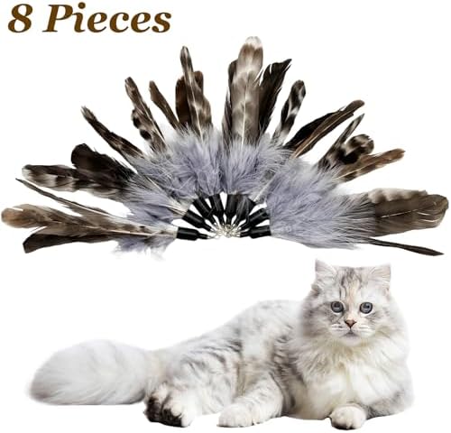 Cat Feather Toys Refills Da Bird Feathers Refills, 8 Pieces Cat Wand Replacement Feathers for Cat Toy, Brown 8PCS