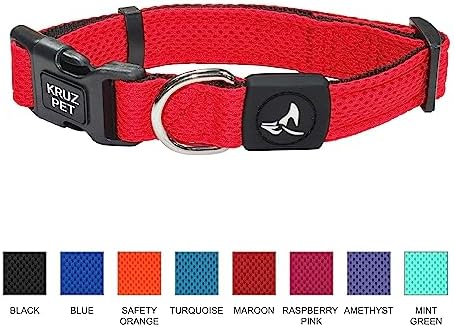 Dog Collar for Medium Dogs (Width- 3/4", Length - 17"-21.5") | Adjustable Padded Mint Green Dog Collar with Heavy Duty D-Ring | Soft Comfortable Fit for Medium Dogs | (Mint Green, Medium)