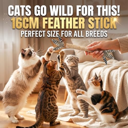 Cat Chew Toys Silvervine Sticks Dental Treat Feather 12Pack Indoor