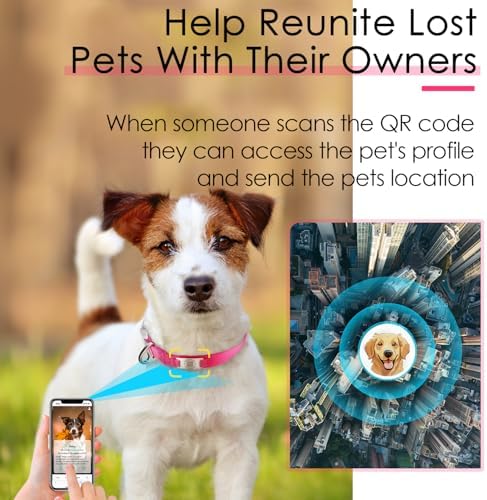ADVENTUREMORE Smart ID Tag QR Code Nylon Dog Collar - Prevents Small, Medium, Large Dogs from Getting Lost at Night, Displays Owner and Pet Details - Durable, Adjustable, Thick-Rose-Medium