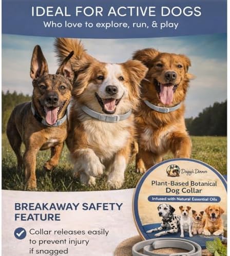 Natural Flea Collar Dogs 8 Mo. 2 Pack Plant Based Waterproof Adjusts.
