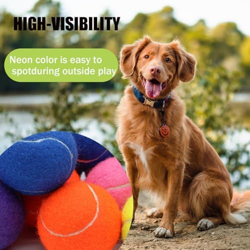 Magicorange Large Tennis Balls for Dogs, 2 Pack 4 Inch Big Tennis Ball