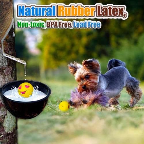 HOLYSTEED Latex Squeaky Dog Balls for Small Dogs, Mini Breed, 2" Round Toys