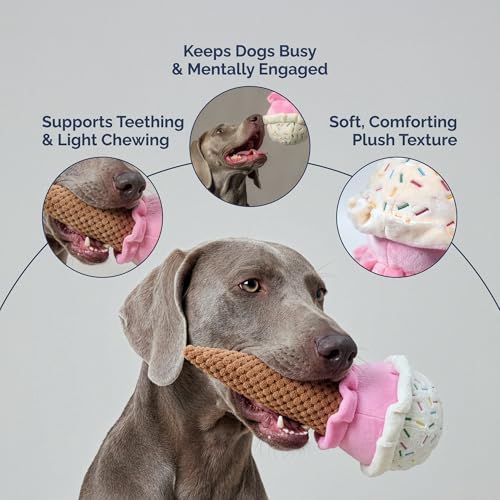 petlou Durable Plush Dogs Squeak Toys. 10-Inch Ice Cream