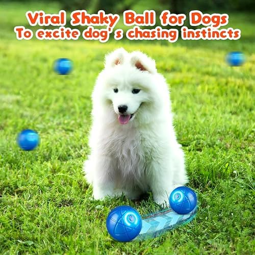 Smart Interactive Dog Ball Toy for Small Dogs and Cats, LED Light-Up, Automatic Motion Ball for Indoor Play, Blue, 2.1inch