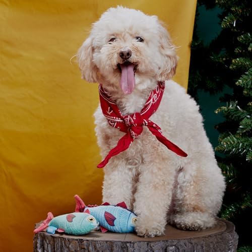 BarkBox Mike & Mike the Trout Twins Dog Toy - for Extra Small to Small Dogs