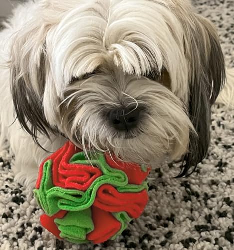 Glory To Dog Medium Breed Snuffle Puzzle Ball Toy Christmas Green/Red Large