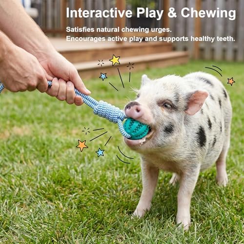 Ronyes 3 Pcs Pig Enrichment Toys, Treat Feeder and Rope Balls for Pet Pigs