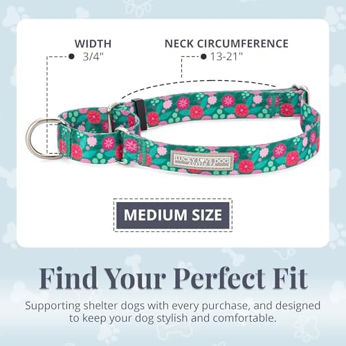 Lucky Love Dog Martingale Collar for Medium Dogs No Slip – Penny, Medium