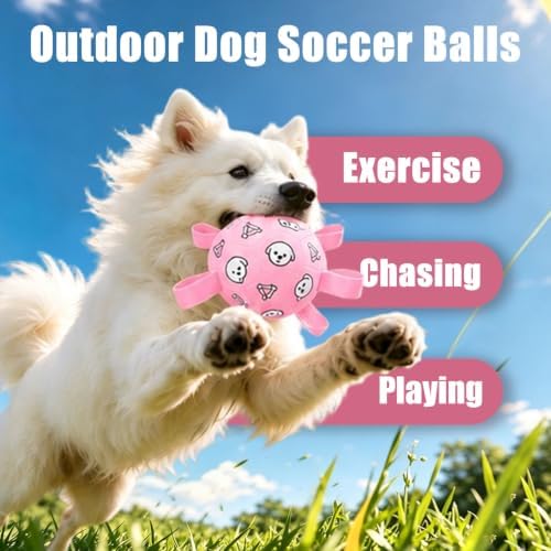 Dog Soccer Ball with Straps, 6 Inch Jolly Ball for Medium Dogs