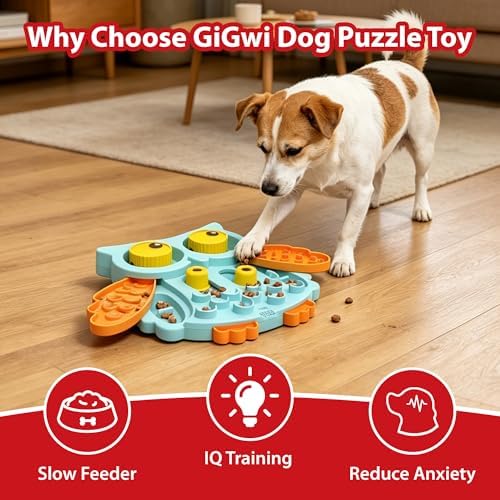 Gigwi Interactive Treat Puzzle Toy, Owl Shape 5 Difficult Levels for Pet