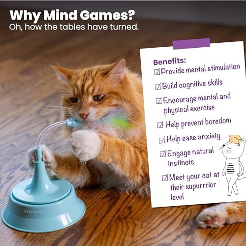 Catstages 2-in-1 Spring Teaser Cat Toy – Bouncy Interactive Cat Ball Track Add-On with Feathers & Bells, Blue