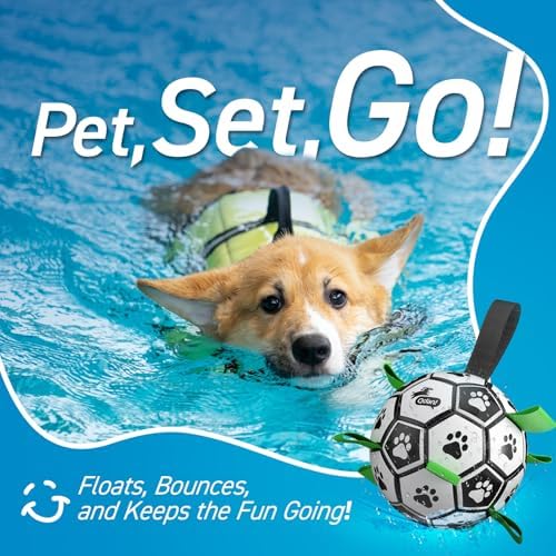 QDAN Dog Soccer Balls with Bell Inside, Squeaky Dog Balls, Birthday Gifts