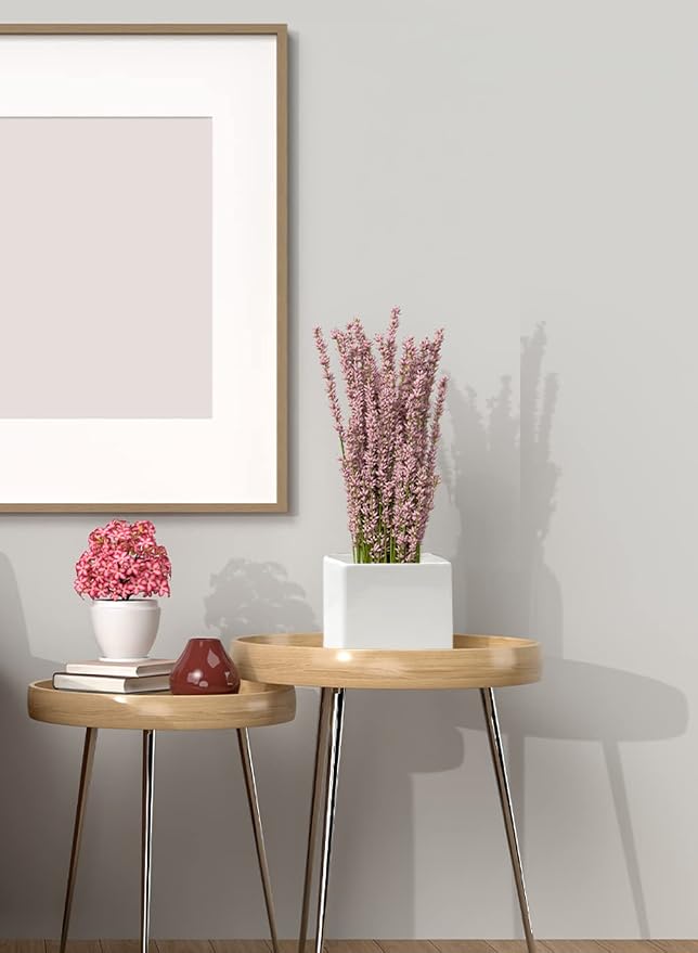 Serene Spaces Living Ceramic Vase Set, 6 Glossy White Vases for Modern Home Decor, Perfect for Weddings, Parties, Events, 5" Tall & 5.75" Cube