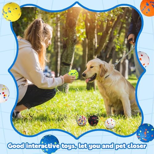 Lenwen 10 Pcs Dog Balls for Aggressive Chewers, 2.5 Inch, Glitter Color