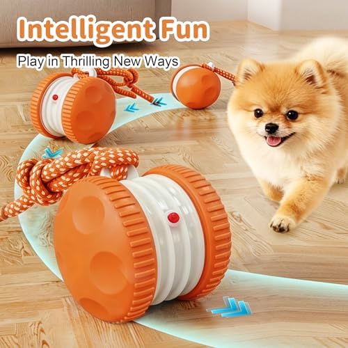 Interactive Dog Toys, Automatic Rolling Ball with Rope, Orange