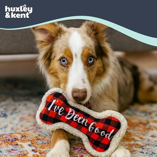 Huxley & Kent Funny Dog Toy w/Squeaker – Holiday Power Plush Squeaky Dog Toys for Small, Medium & Large Dogs – Soft Stuffed Animal for Indoor Play & Fetch - I've Been Good Bone, Large