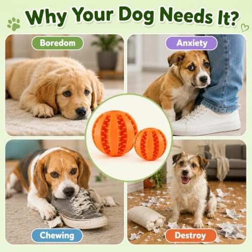 GASHIK Dog Treat Ball for Dogs, Rubber Dental Chew Toy for Dogs