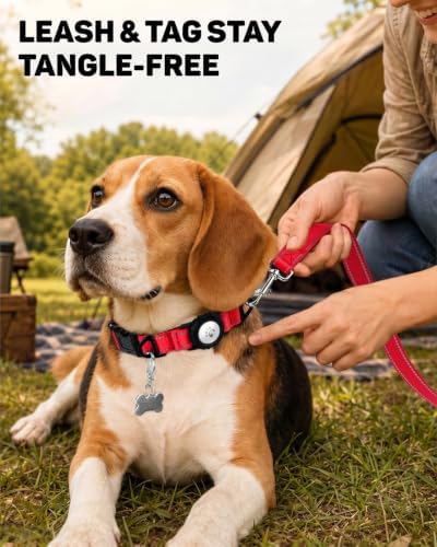 Padded Dog Collar with Waterproof Holder Compatible with Airtag