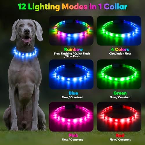 Flashseen LED Dog Collar, USB Rechargeable Glowing Lighted Up Collar, Cuttable Water-Resistant TPU Safety Collar Lights for Small Medium Large Dogs (Style 2)