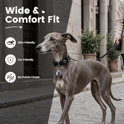 Rhinestone Dog Collar with QR ID Tag, Ostrich-Embossed, Black, L | Crystal Dog Collar with Ostrich-Embossed Texture, Adjustable Waterproof Fit and QR Scan Pet ID for Stylish Daily Wear
