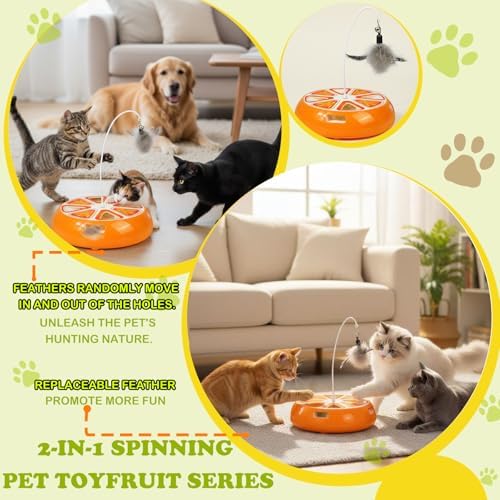 Puffluv Interactive Cat Toy,2 in 1Fruite Shape Toys with Electric Moving Concealed and Hanging Feathers Pop and Play Hide Seek, Hunting,Tpye-C Rechargeable-Orange