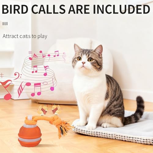 Interactive Dog & Cat Toy, Auto Chirping Ball, Rechargeable Self Play