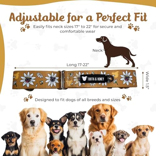Tooth & Honey Martingale Dog Collar, 1.5-Inch Wide Daisy Print Design