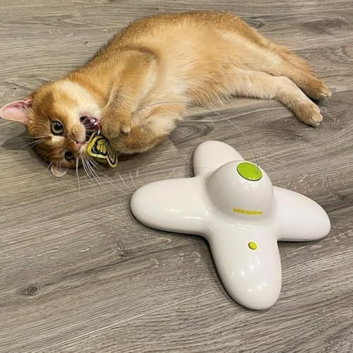 ALL FOR PAWS Interactive Cat Toy, Automatic Cat Toys with Butterfly for Indoor Cats, Electric Cat Teaser Wand Stimulating Kitty Toys Enrichment