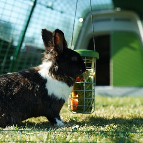 Omlet Caddi Rabbit Treat Holder | Strong and Durable Hay Rack for Small Animals | Interactive Toy | Attaches Easily to Any Rabbit Run | Durable Welded Steel Food Dispenser