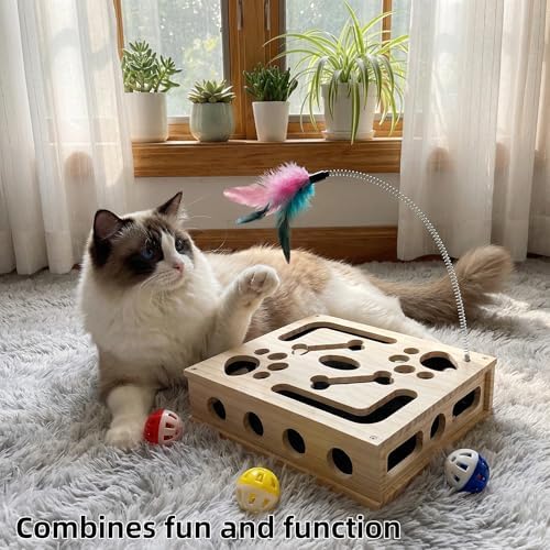 Cat Scratch Puzzle Enrichment Box, Cat Nail File Enrichment Box Sandpaper, Interactive Cats Treat Toy Stress Free, Scratchers that Trim Nails