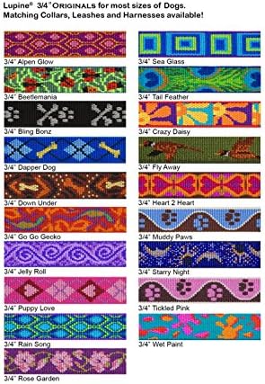 LupinePet Originals 3/4" Rose Garden 15-25" Adjustable Collar for Large Dogs