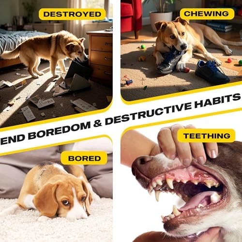 Fida Dog Rope Toys, 4 Pack Cotton Puppy Teething and Chew Toys