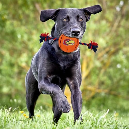 NCAA Kansas Jayhawks Basketball Rope Toy for Dogs & Cats. Tough Nylon, Sporty Basketball Design, Heavy-Duty Ropes with Inner Squeaker