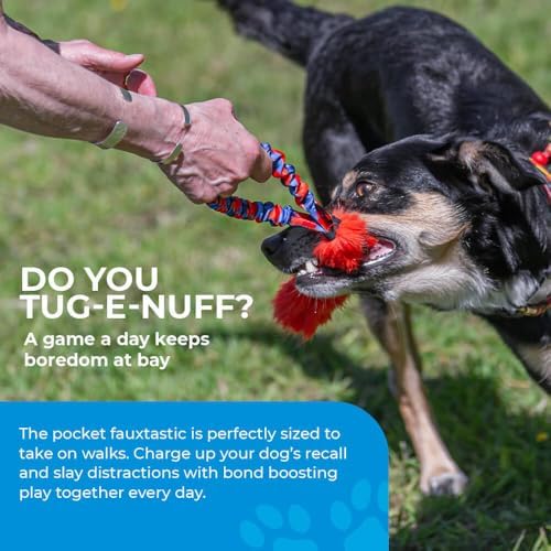 Tug-E-Nuff Pocket Fauxtastic (Blue), Bungee Dog Tug Toy (13 inches)
